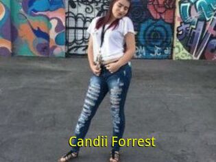 Candii_Forrest