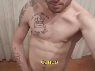 Caneo