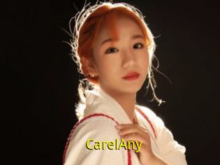 CarelAny