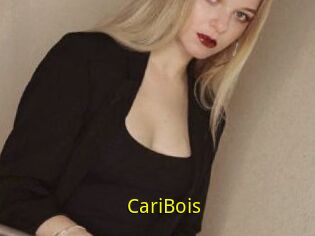 CariBois