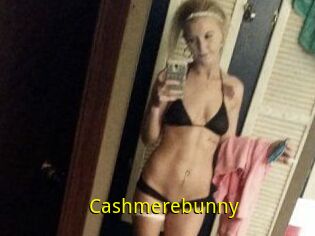 Cashmerebunny