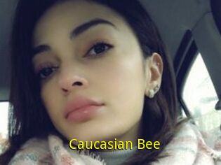 Caucasian_Bee