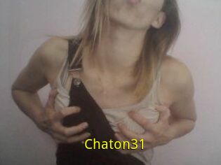 Chaton31