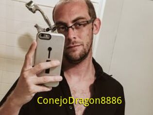 ConejoDragon8886