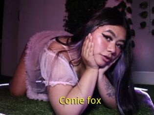 Conie_fox