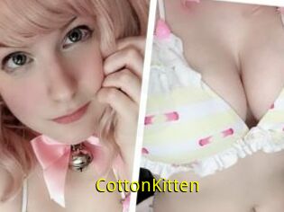 CottonKitten