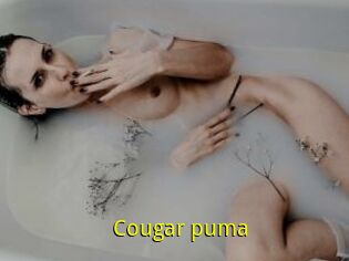 Cougar_puma