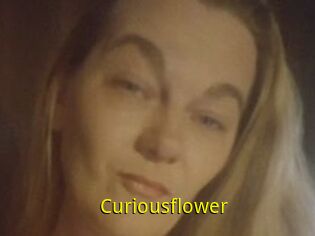 Curiousflower