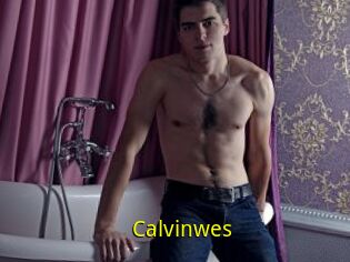 Calvinwes