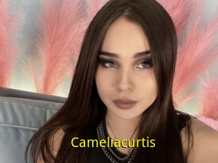 Cameliacurtis