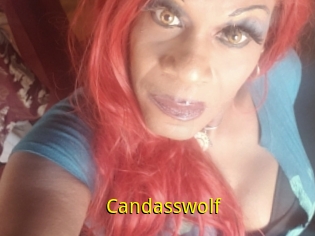 Candasswolf