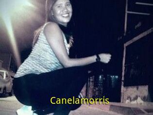 Canelamorris