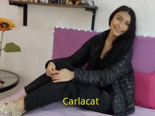 Carlacat