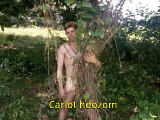 Carlot_hdozom