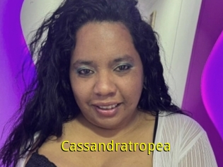 Cassandratropea