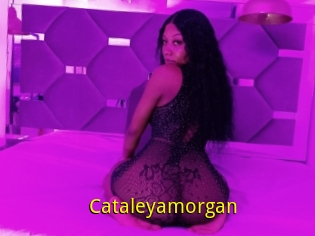 Cataleyamorgan