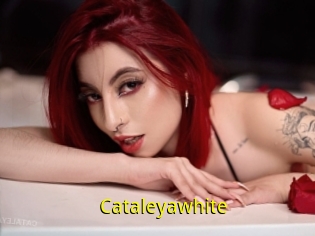 Cataleyawhite