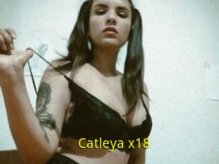 Catleya_x18