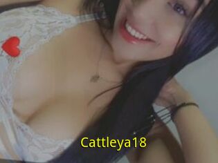 Cattleya18