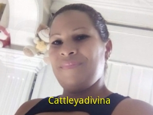 Cattleyadivina