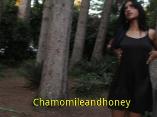 Chamomileandhoney