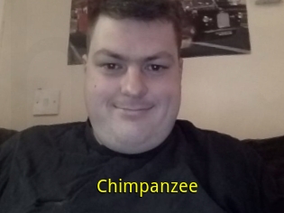 Chimpanzee