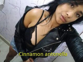 Cinnamon_antonella