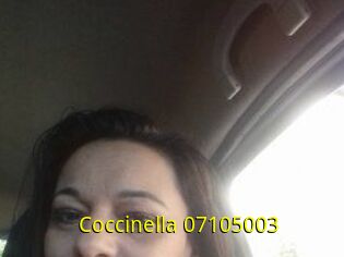 Coccinella-07105003