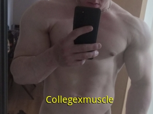 Collegexmuscle