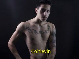 Coltlevin