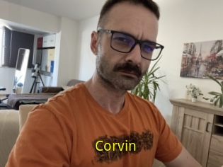 Corvin