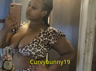 Curvybunny19