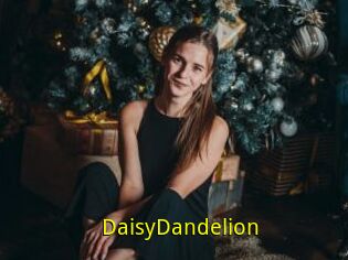 DaisyDandelion