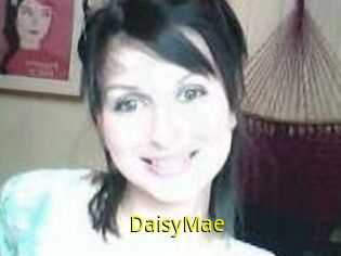 Daisy_Mae