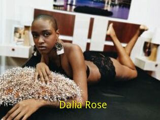 Dalia_Rose