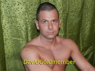 DavidGoldmember