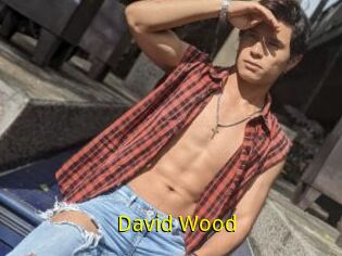 David_Wood