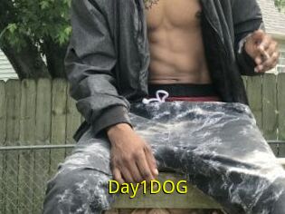 Day1DOG