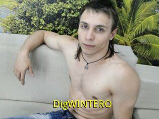 DigWINTERO