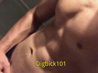 Digbick101