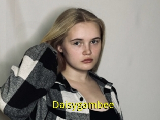 Daisygambee