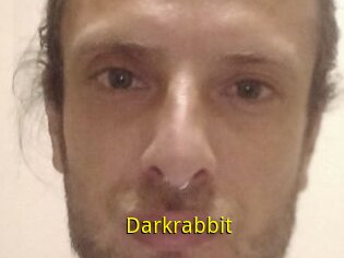 Darkrabbit