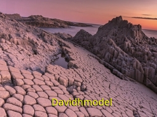 Davidhmodel