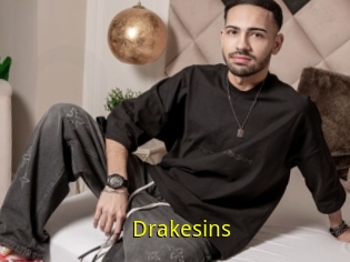 Drakesins