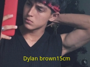 Dylan_brown15cm