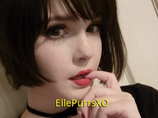 EllePurrsXO