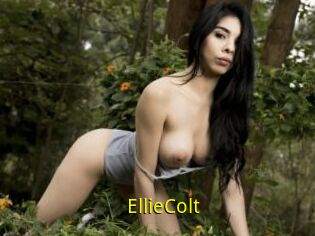 EllieColt