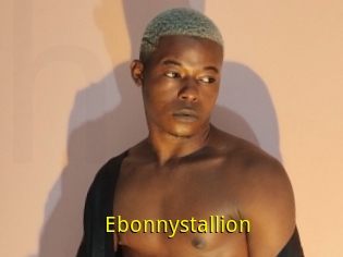 Ebonnystallion