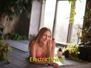 Electricflower