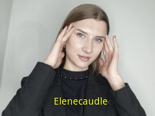 Elenecaudle